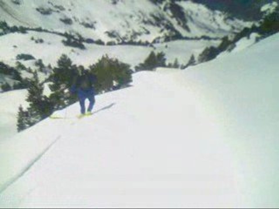 Basiver