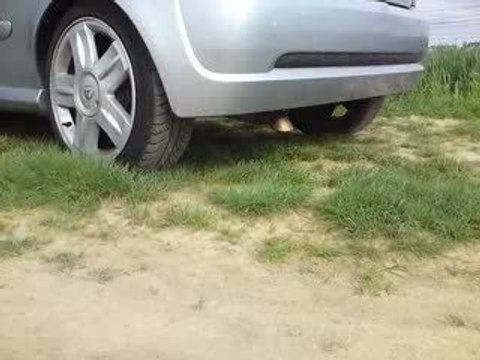 clio RS2 - Ligne inox Renault