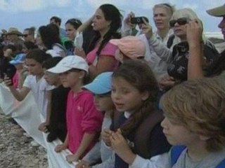 Rescued turtles set out to sea
