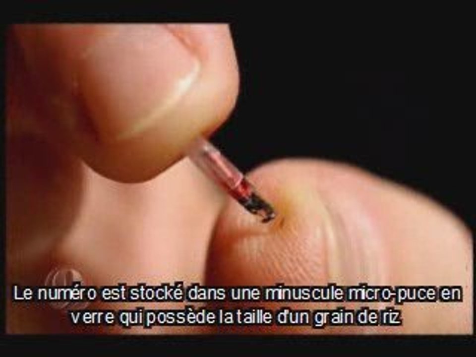 Avertissement5"une puce peut en cacher une autre"