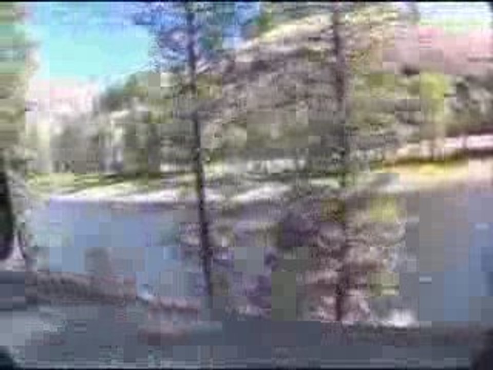 FEEDING TIME | Fly Fishing Video