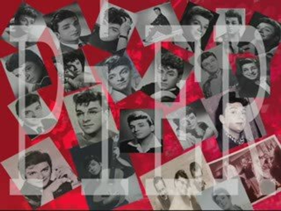 Zeki Müren sabır taşı (taş plak)