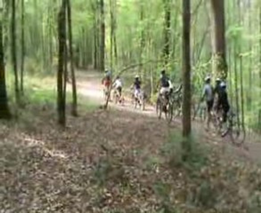 VTT en forêt - Séminaire et Evénement d'entreprise