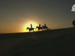 Episode 4 : Ride à Cheval - SunnyD Surfcamp