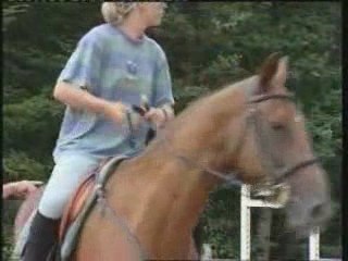 Séance travail a l'obstacle (J.d'Orgeix-Nadege)