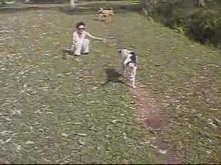 Noah's Ark Natural Animal Shelter