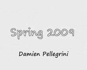Spring 2009 Damien Pellegrini