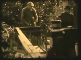 Coupeur de bois