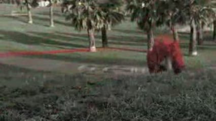 pelote de laine geante dans les rues san francisco