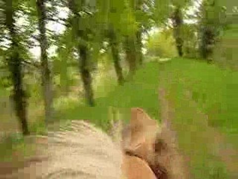 Pilou pti galop fin canal