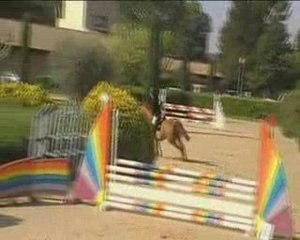 Laurie & Quirinal a Uzes