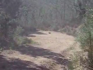 Rando du vendredi 1 mai  !!!