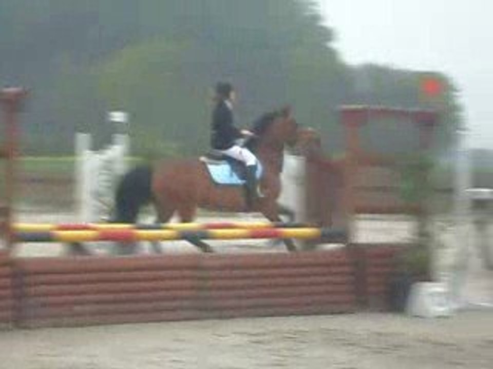 SDC10377