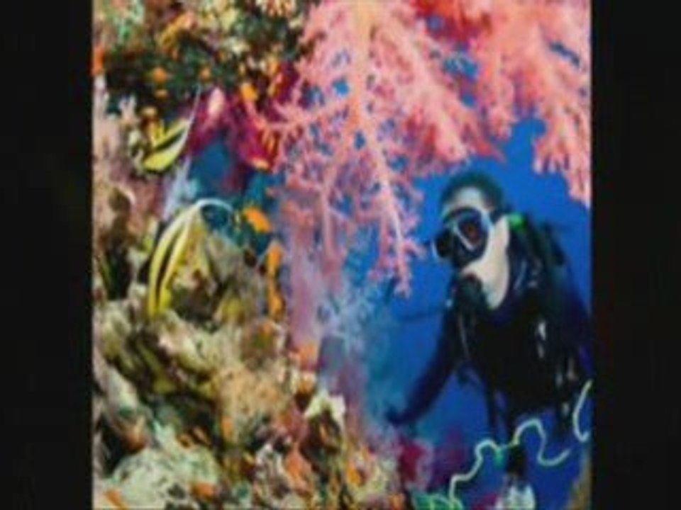 turks caicos real estate