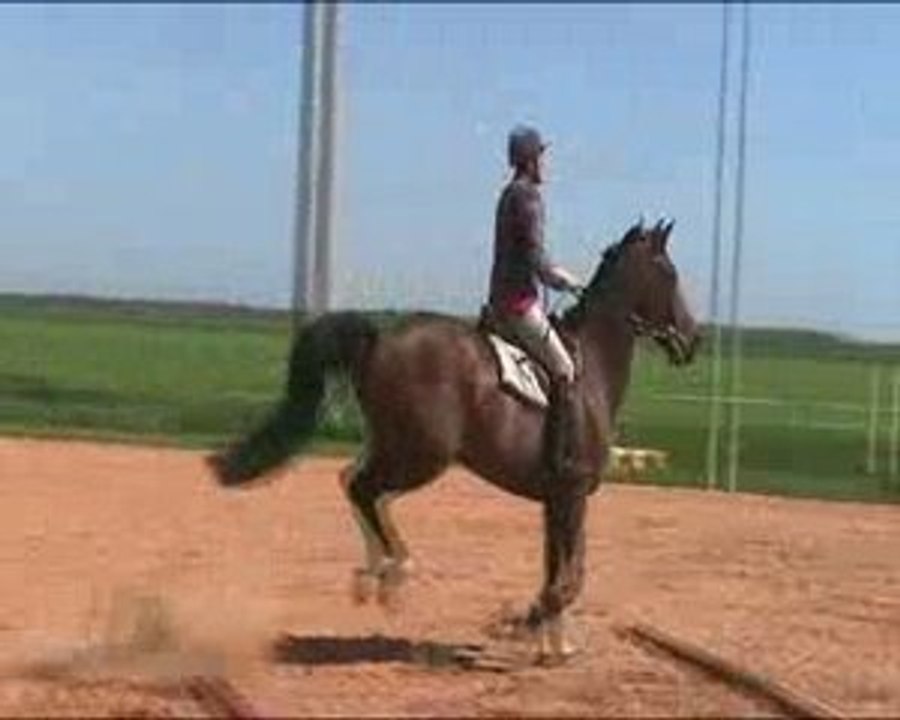 Puissance mireille nico