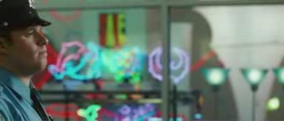 Observe and Report 2009