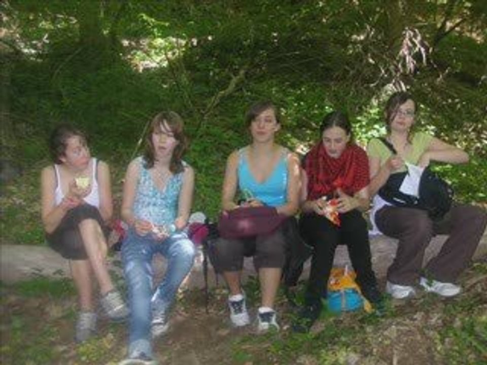 Journée devellopement durable