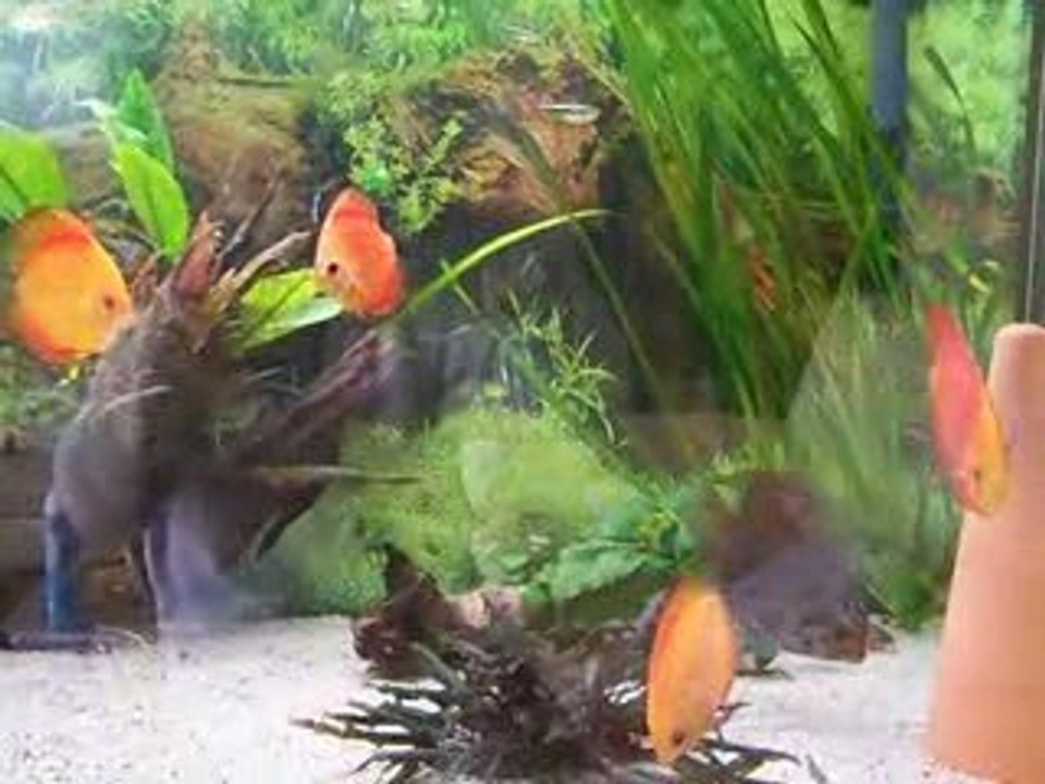 Video aujourd'hui 001