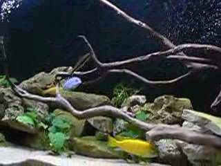 Mon bac 350 litres Malawi