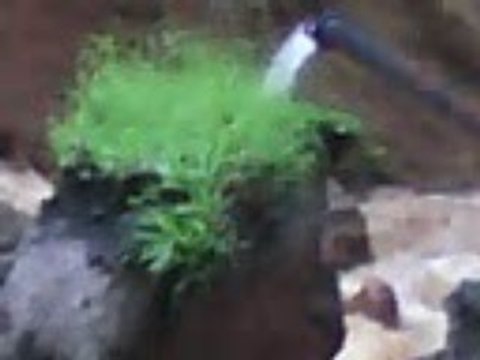 Inondations en martinique(972)Part2