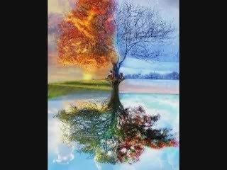 MÜSLÜM GÜRSES - Acılı Sevda