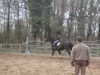 Haras de Val en Pré - Jamaïque & Moi