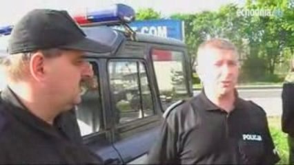 Obława na pumę w gminie Górno