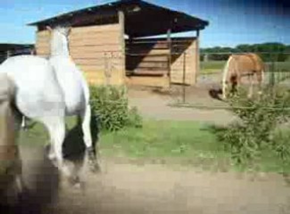 Xira07-05-09