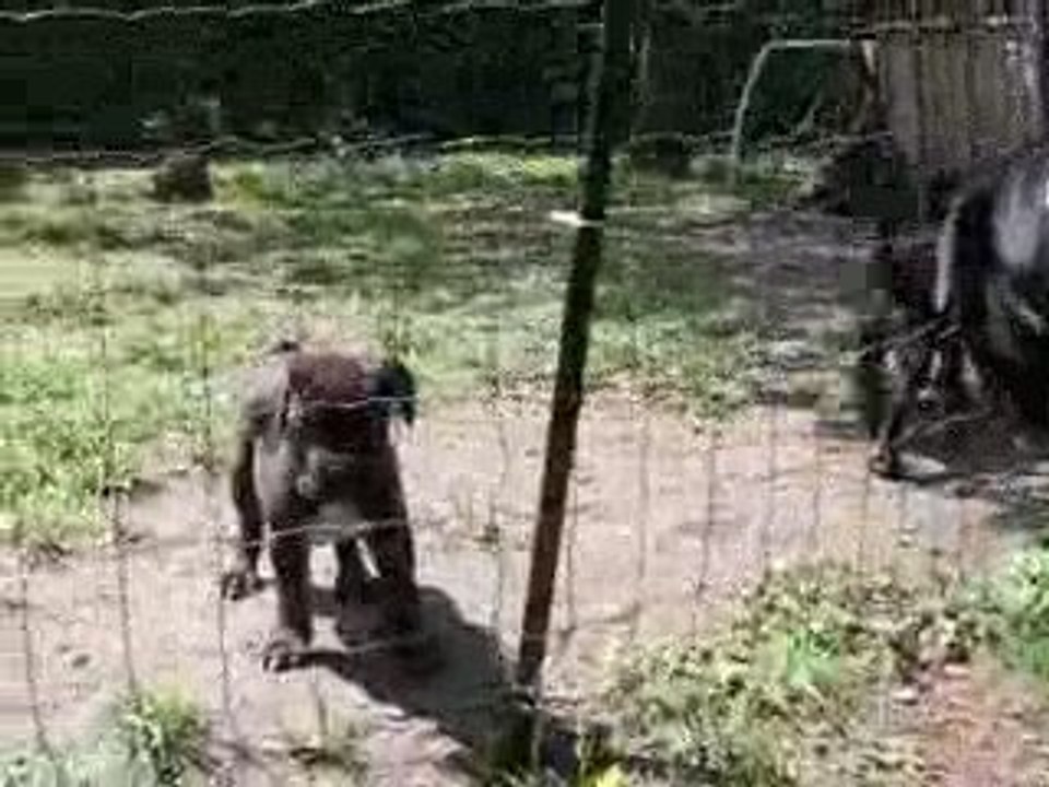 erwan et ses mini miss