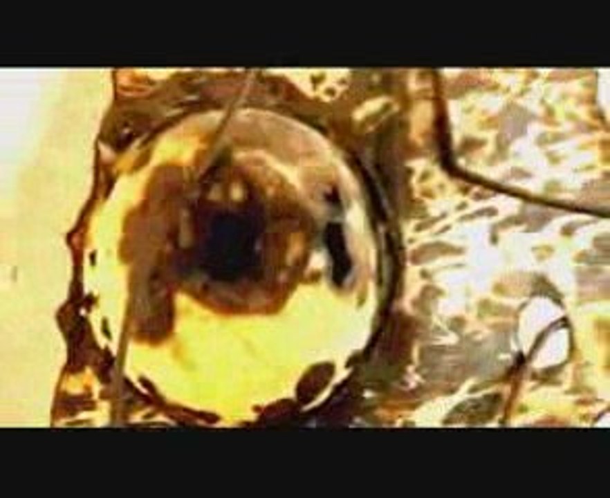 Oro Below - Mabafeii