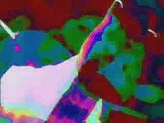 Hawkwind  ~  Spirit of the Age...