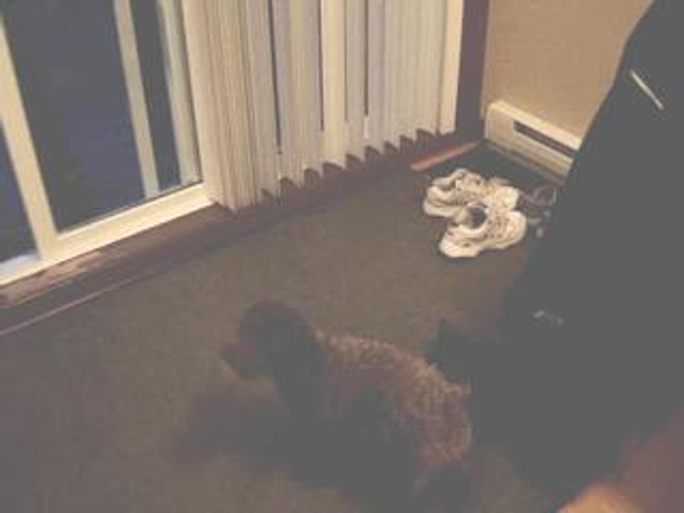 reverse video quik40production