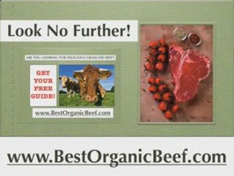 [BestOrganicBeef.com] grass fed organic beef, grass fed beef