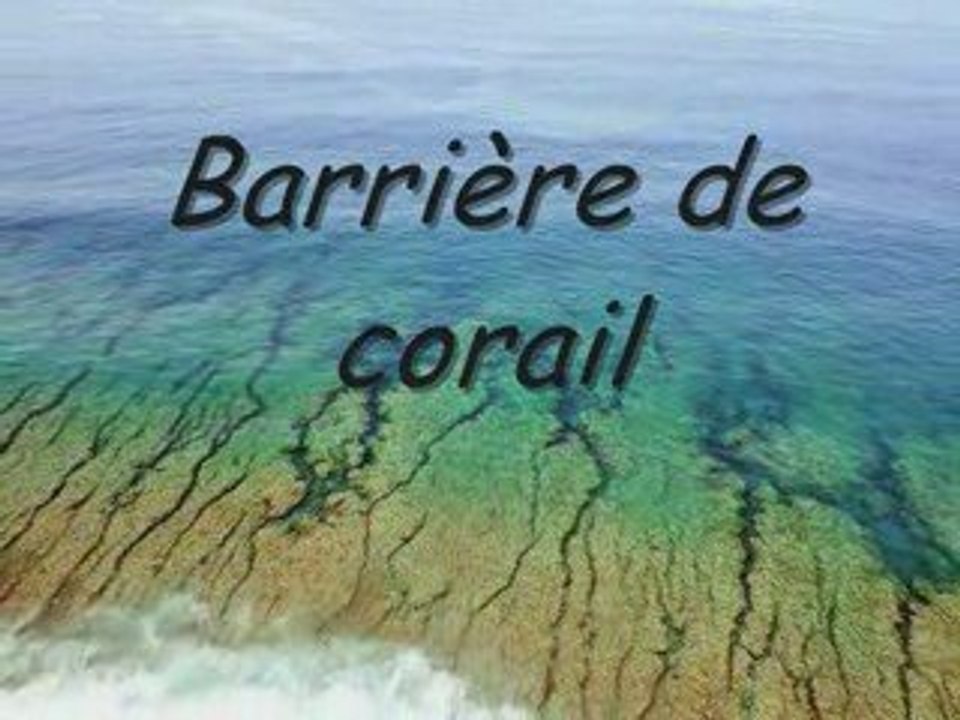 Mon île, Ma planète