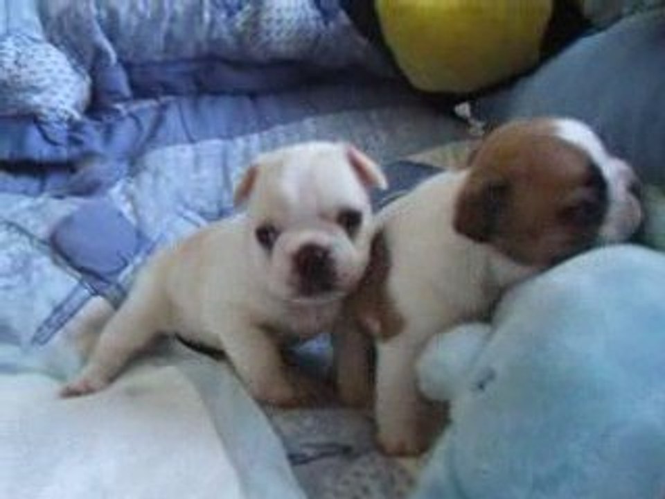 les premiers jeux des bébés