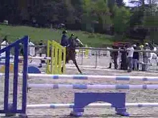 Morf et Quadrille