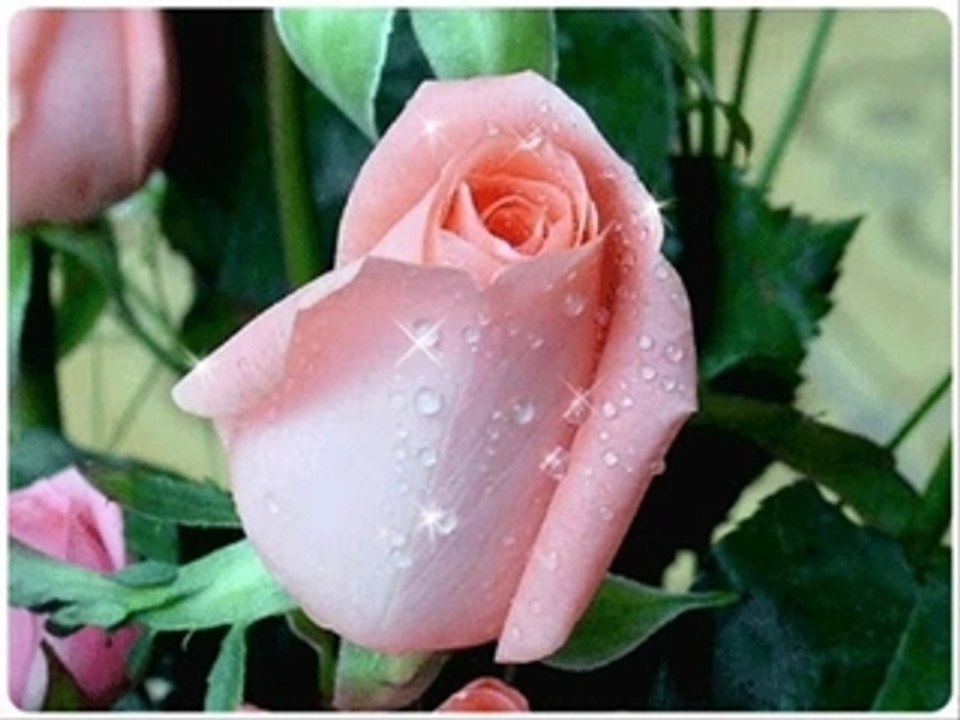 Dziękuję Ci za miłość