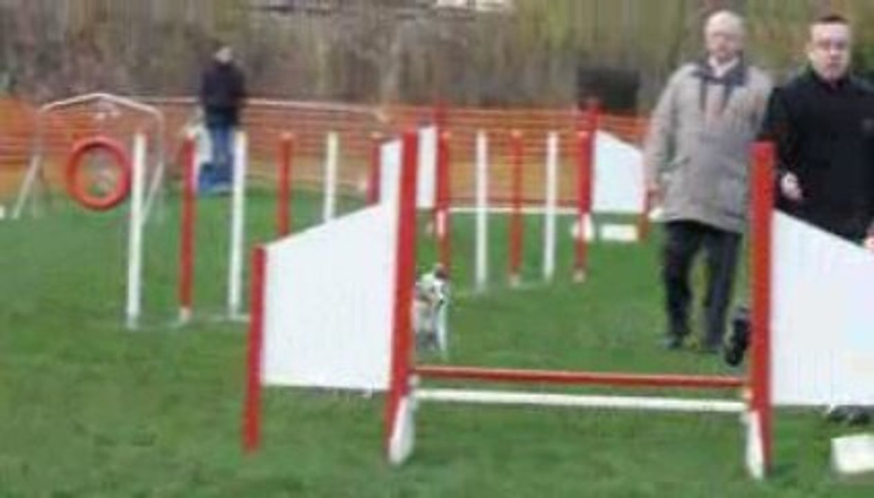 Pascal&bianca open montigny-les-metz 290309 agility