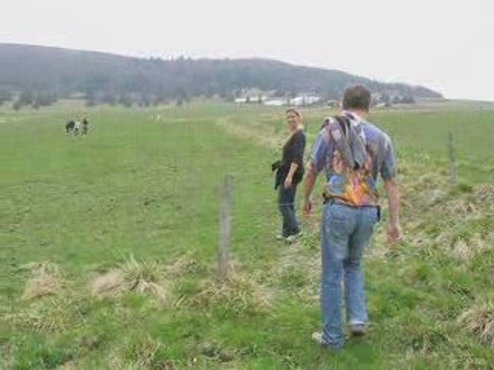 Morfeld2009-2