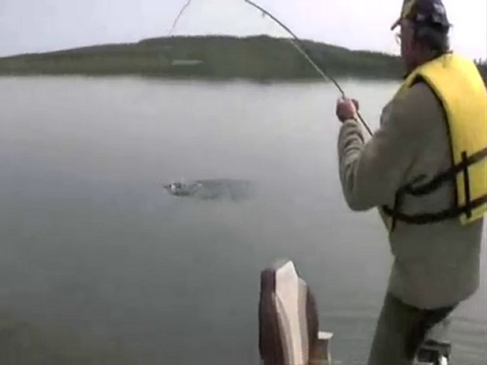 compilation attaque de brochet