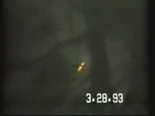 OVNI UFO Gulf Breeze 1993 www.les-ovnis.com