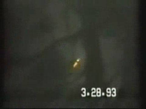 OVNI UFO Gulf Breeze 1993 les-ovnis.com