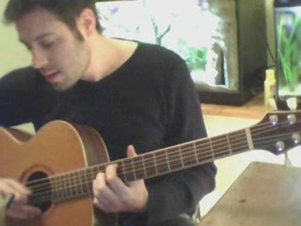 Black bird cover