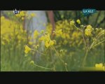Volkan konak - Mimosa Çiçeği  (2009)