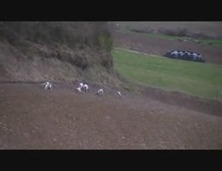 Nouvel extrait du brevet de chasse de Lauzerte