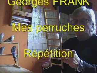 Répétition perruches