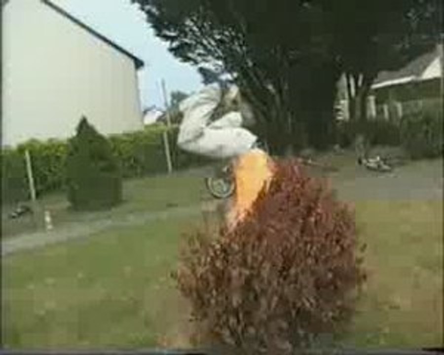Momo triple Salto...dans un buisson