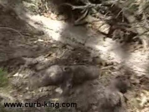 Trencher for Landscape Curbing