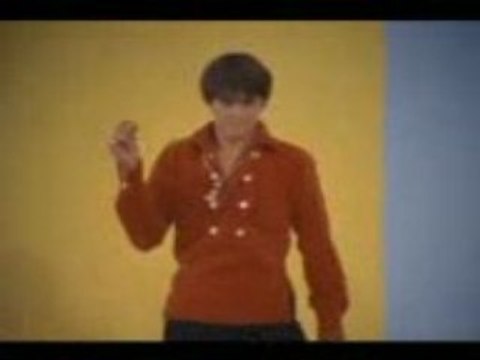 the monkees daydream believer