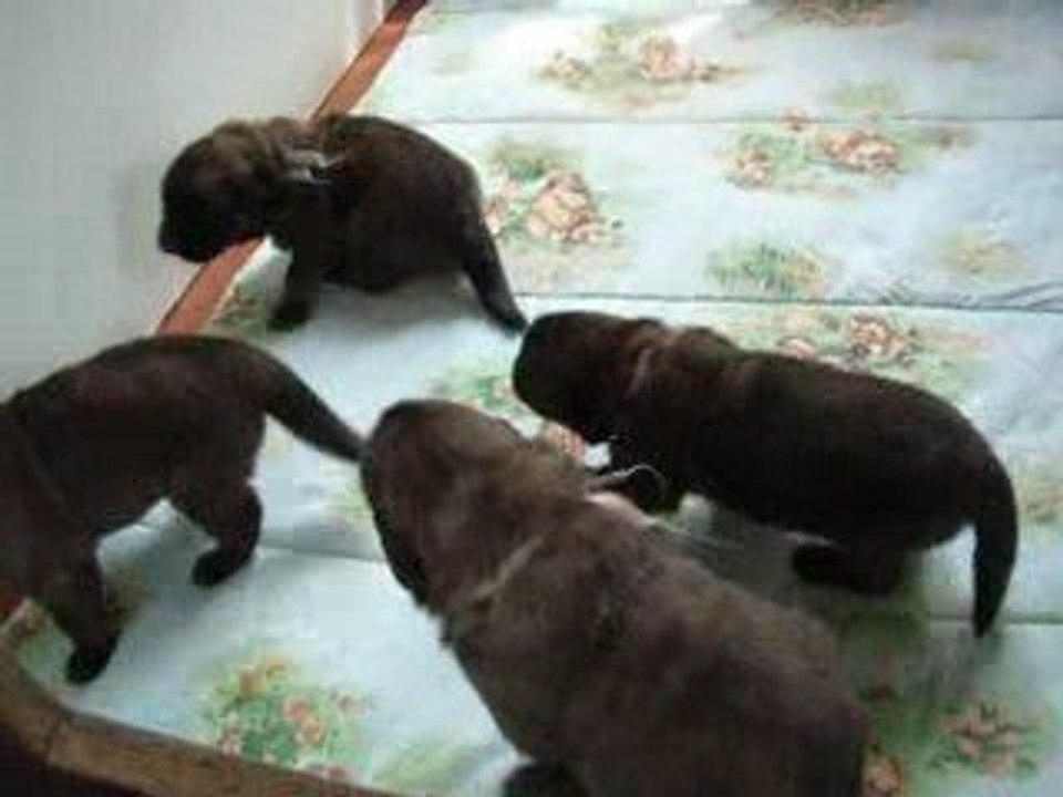 Clip BB 8 mai 2009 089